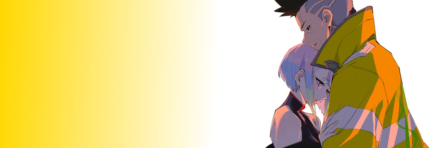 random sonic fan va banner