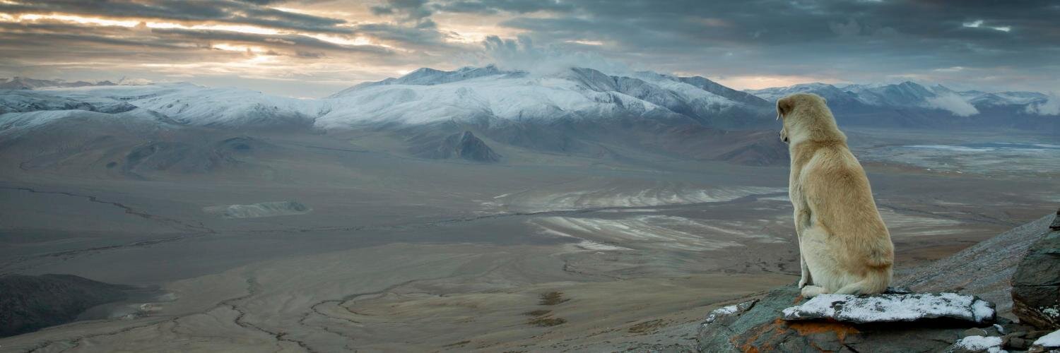 @jxf.me (Bluesky) / jxf@mastodon.social (Mastodon) banner