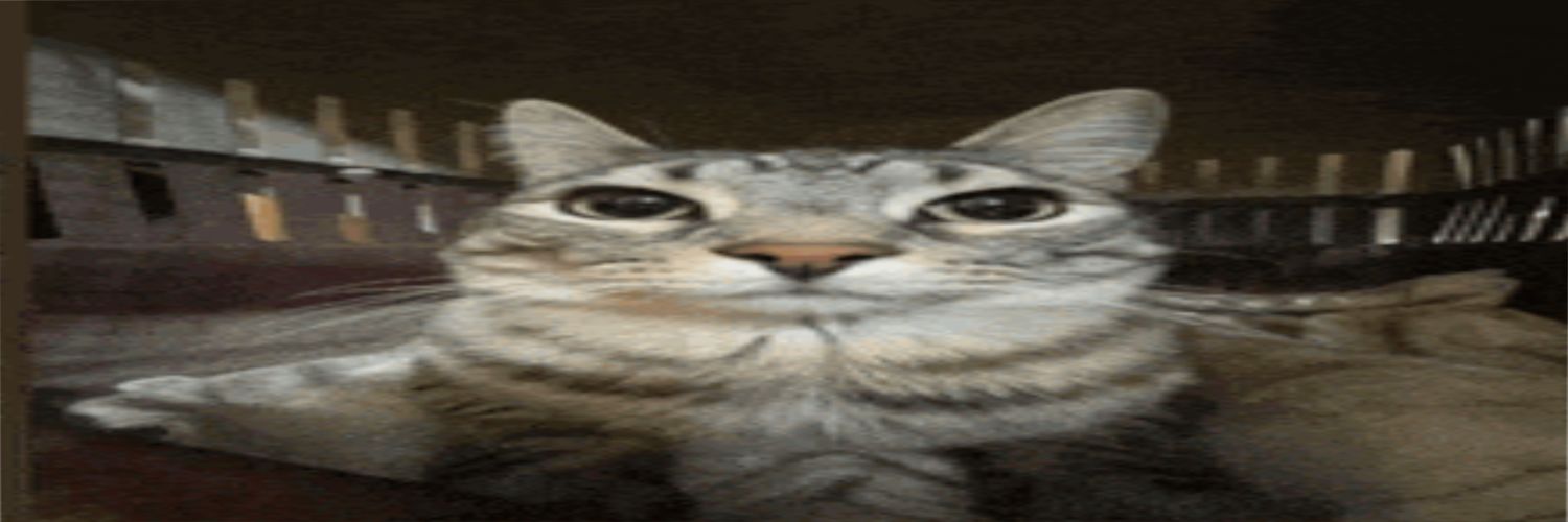 x7986_ banner