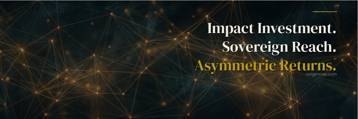 David Palumbo banner