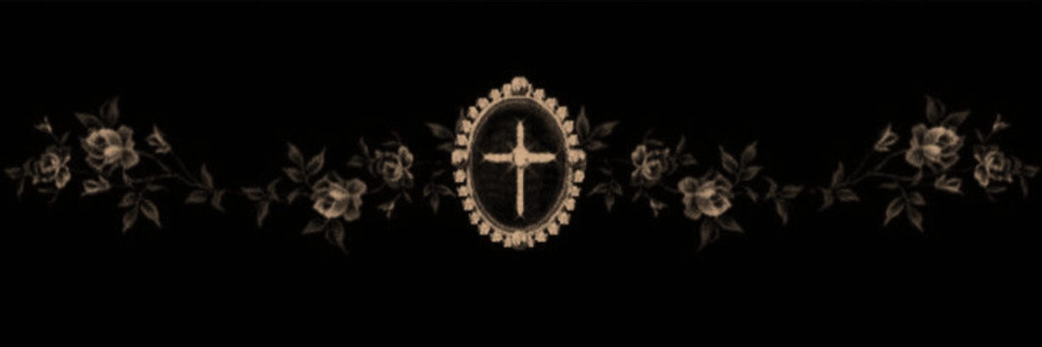 . ꪜꪖꪀ H𝔢𝔩𝔰𝔦𝔫𝔤˚ ༘ ·˚ banner