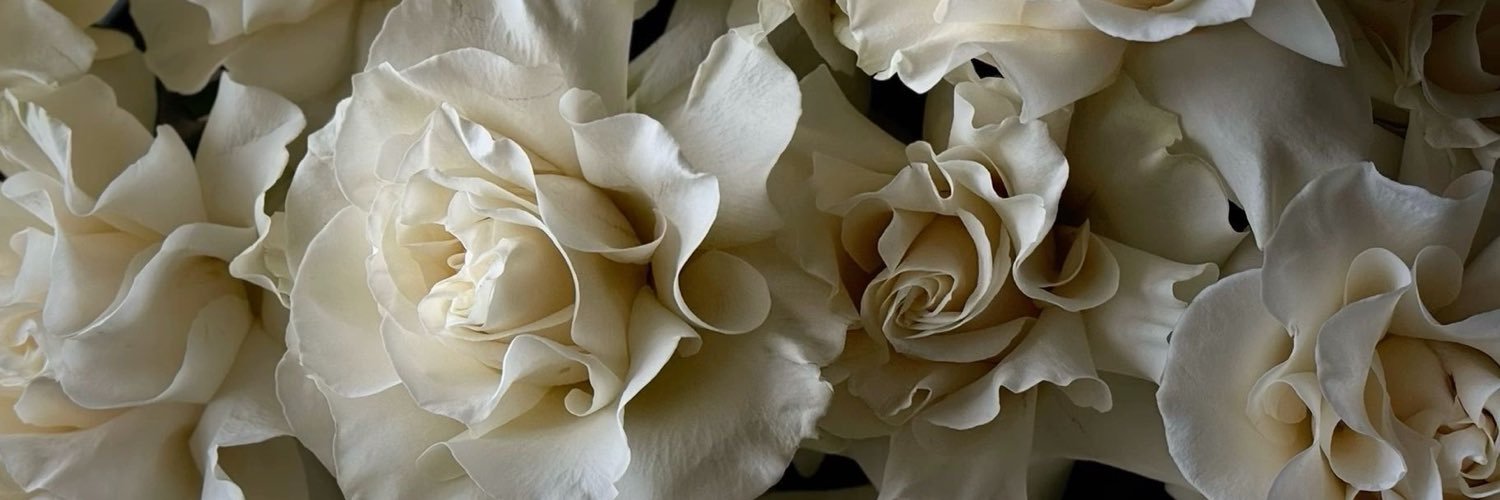 ylix_2's profile banner image