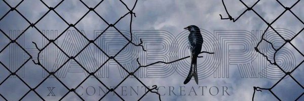 harboriis Profile Banner