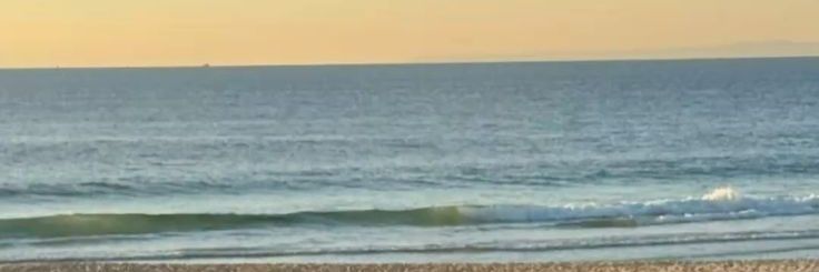 bysaa.go｡⁠☆🐻 banner