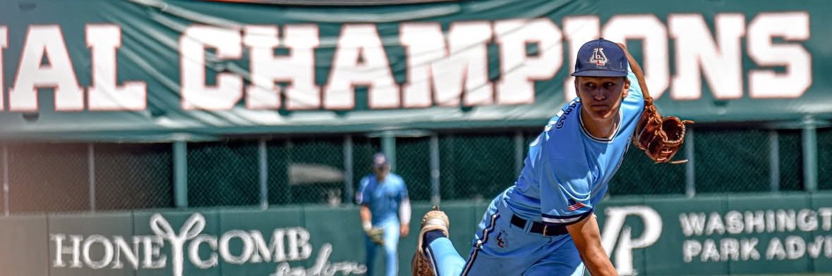 Lydo’s Lab Scout Team banner