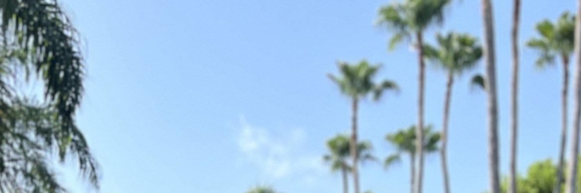 GustoNBT's profile banner image