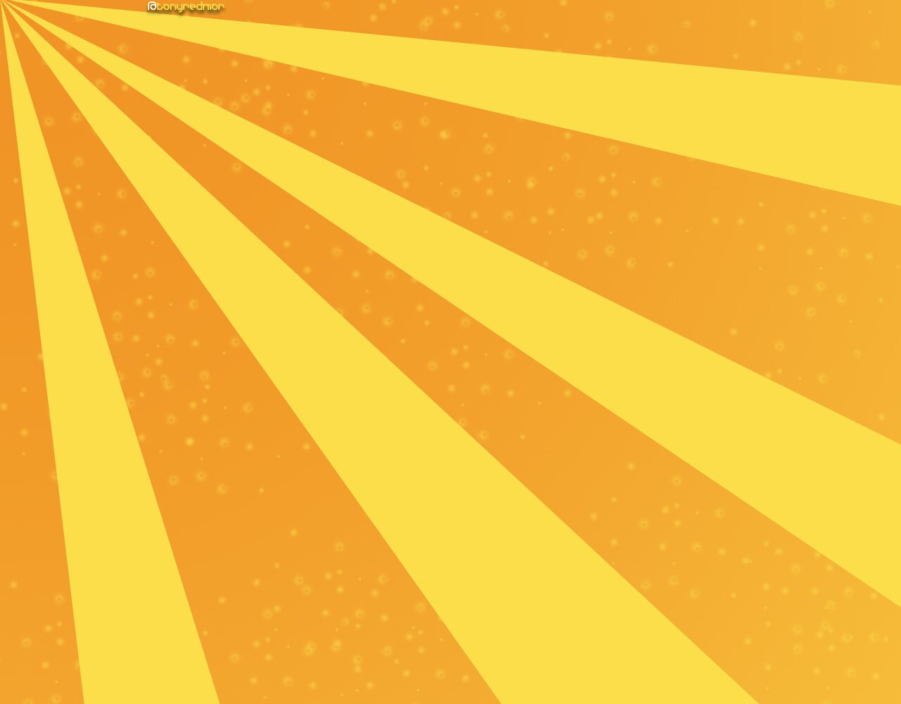 halonaiara889's profile banner image