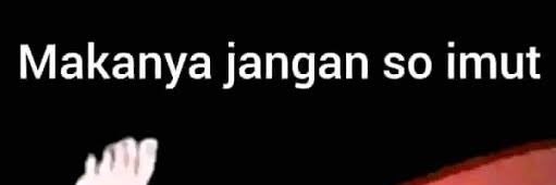 Dread Pirate Roberts banner