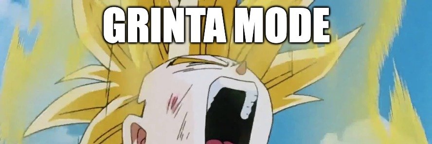 GRINTA's banner