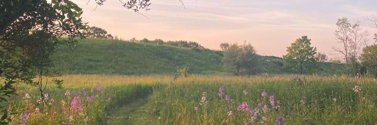 📀💿want to be polyglot (ameeen) 🍉 banner