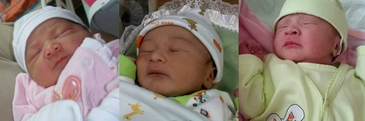 Gonzaleza banner