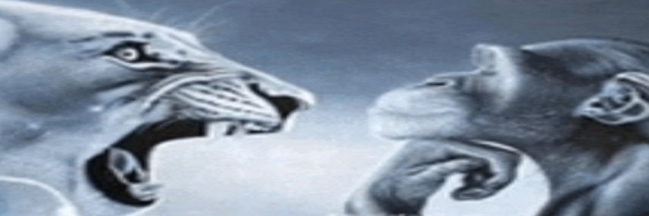 levi's banner