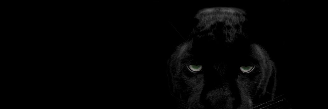 K4TPAWS's profile banner image