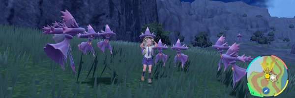 VC_LH_I Profile Banner