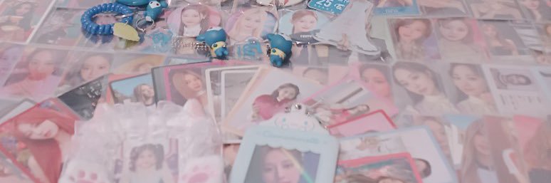 𐔌 차미⋆. 𐙚 ˚ ꒱ banner