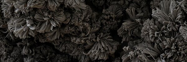 _PhoebeCummings Profile Banner