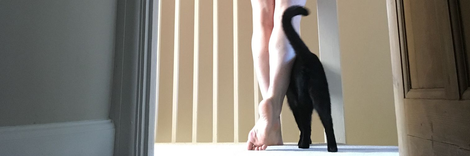 Katteroo_'s profile banner image