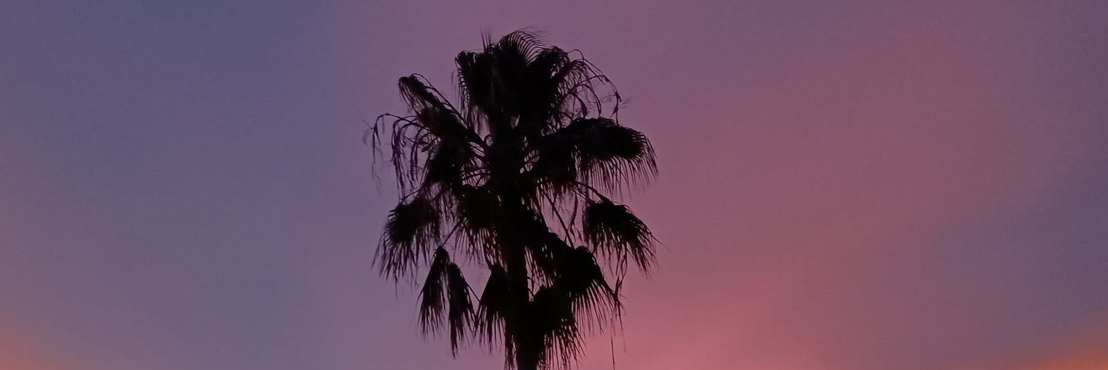 lanasipe1997's profile banner image