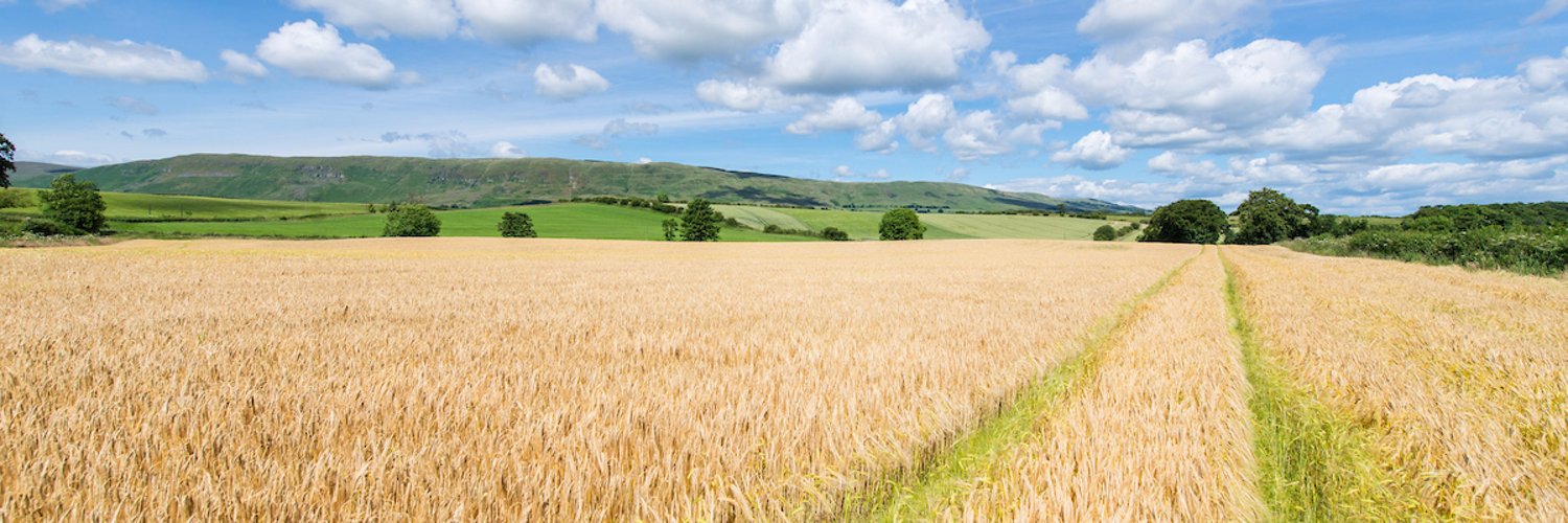 Galbraith Rural Profile Banner