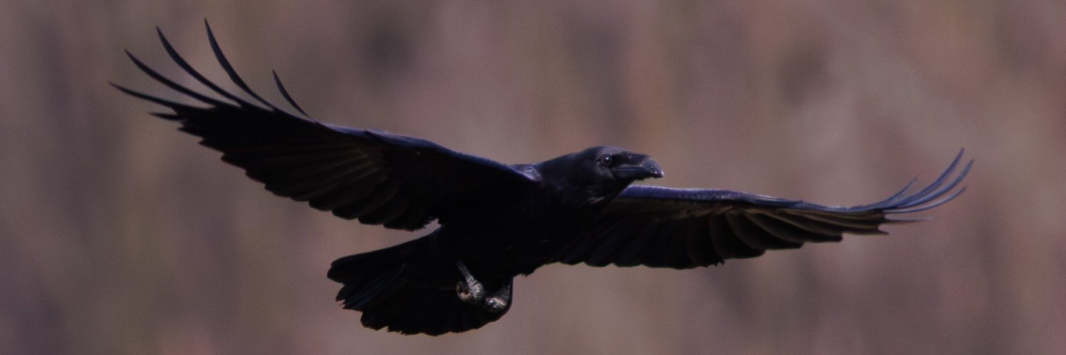 Na Fotograficznym Szlaku banner