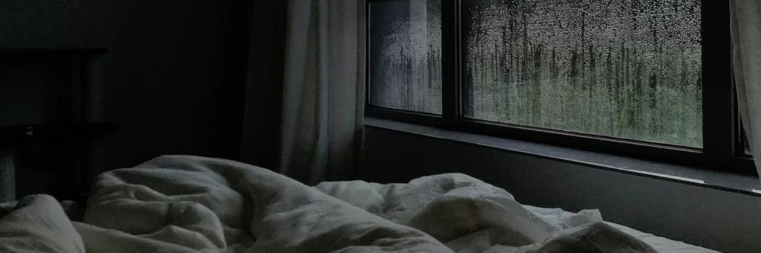 ynbi255822's profile banner image