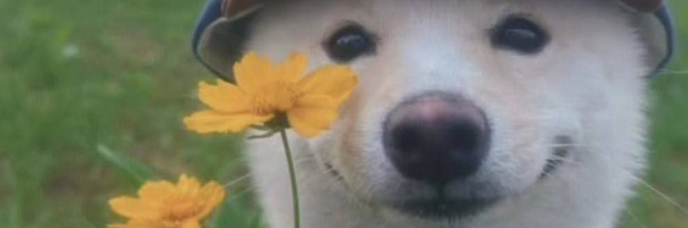 Daryajonm's profile banner image
