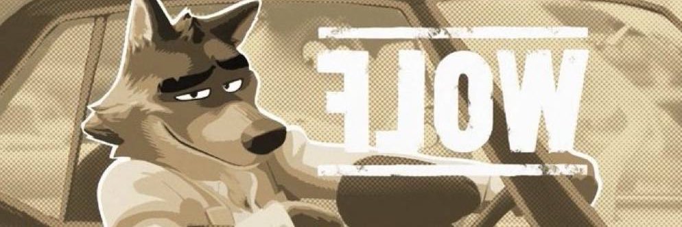 floW 🔜 LVFC banner