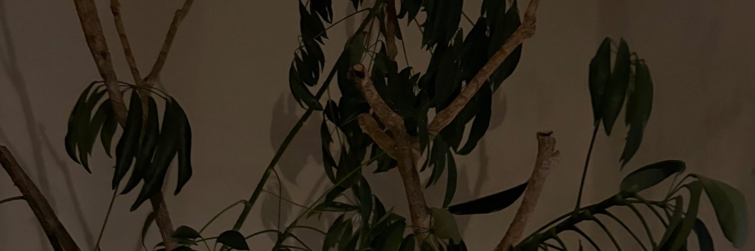 暖 banner