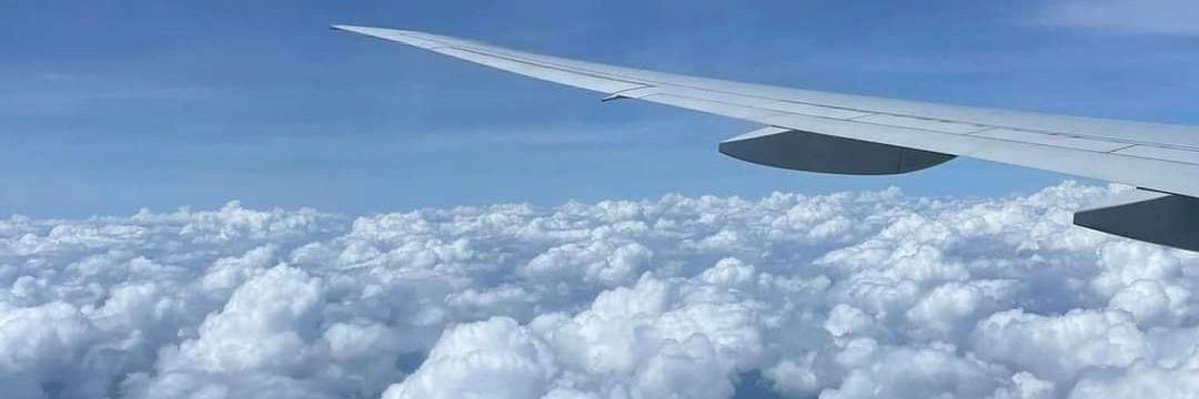 Michael Bliss | 𝔽rAI banner