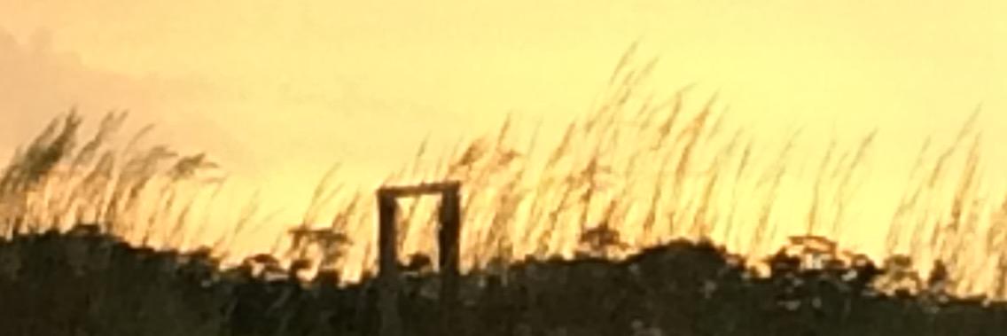 LisaLleesmith's profile banner image
