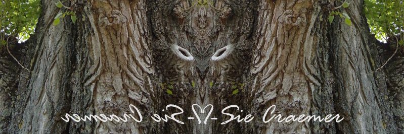 IsyPim40789's profile banner image