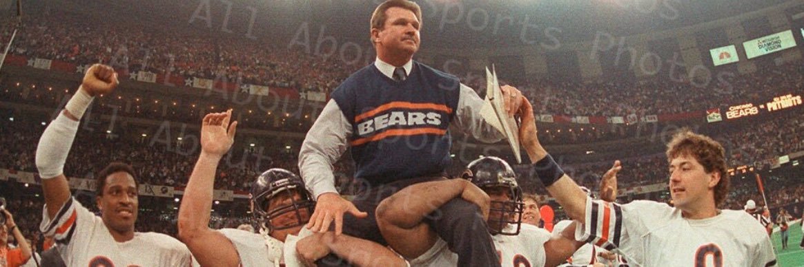 BearsFanFL banner