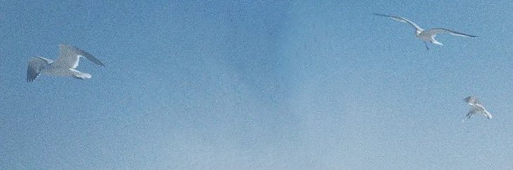 timelapseee's profile banner image