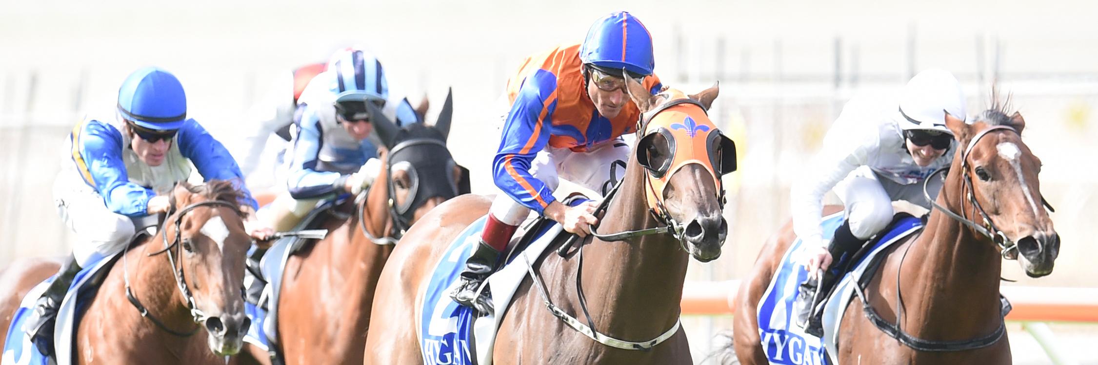 Evergreen Turf banner