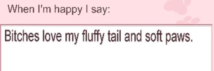 nyibbles ૮₍ ´ ꒳ ` ₎ა banner