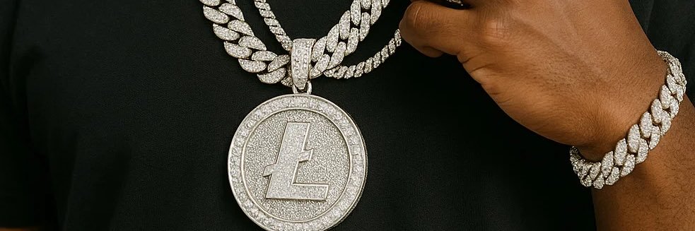 LtcTreasury's profile banner image