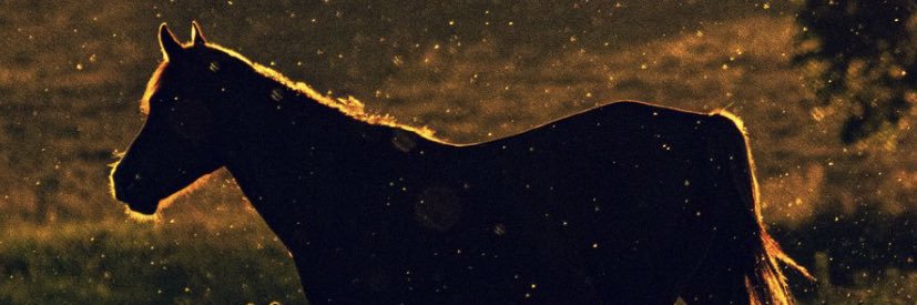 _dam5's profile banner image