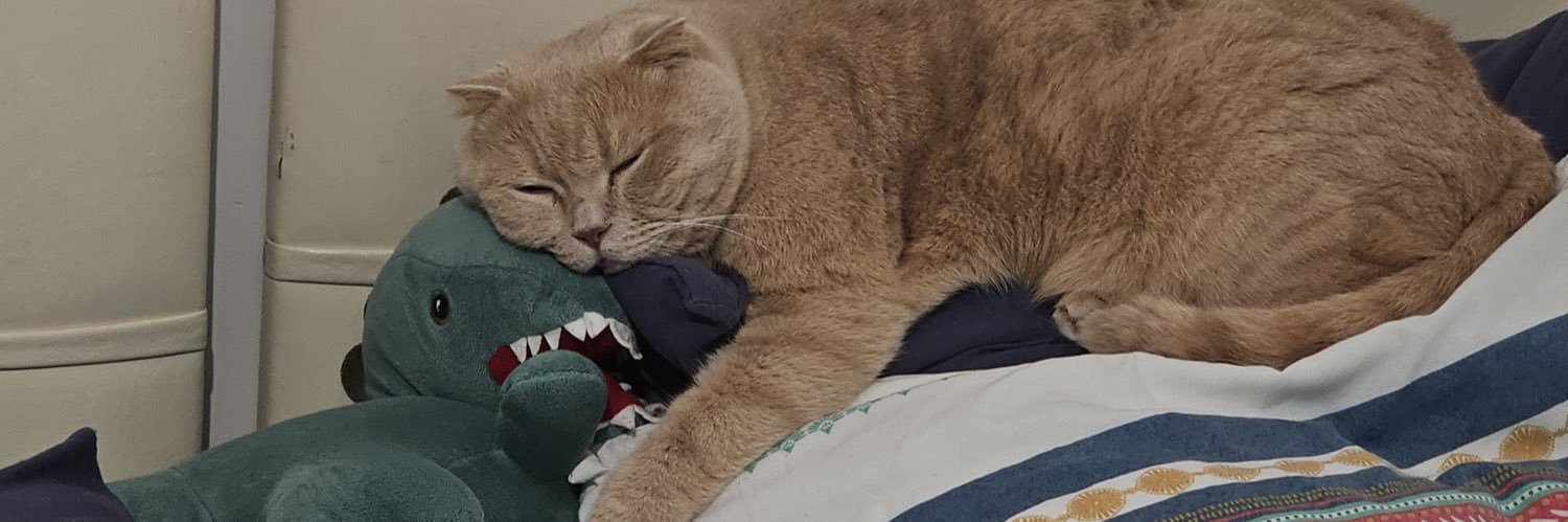 🦕 banner