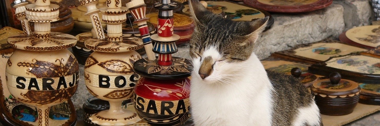 cafeturco's profile banner image