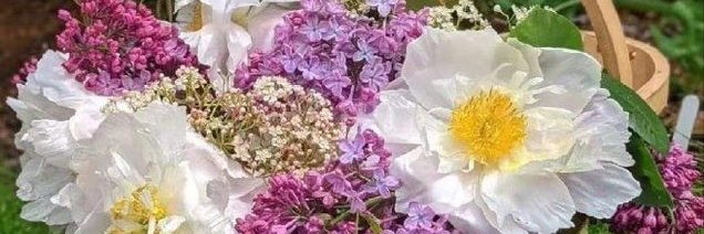 NatalieSmi76088's profile banner image