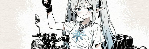 sd_kindle Profile Banner