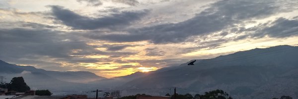 nestoriano Profile Banner