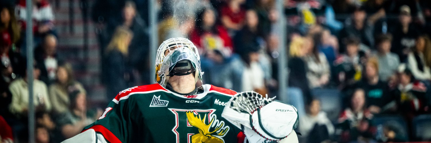 Crease Analysis banner