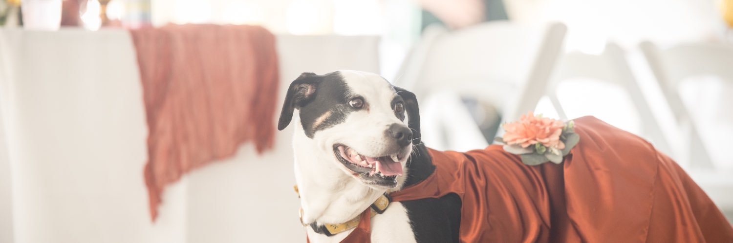 shade monster banner