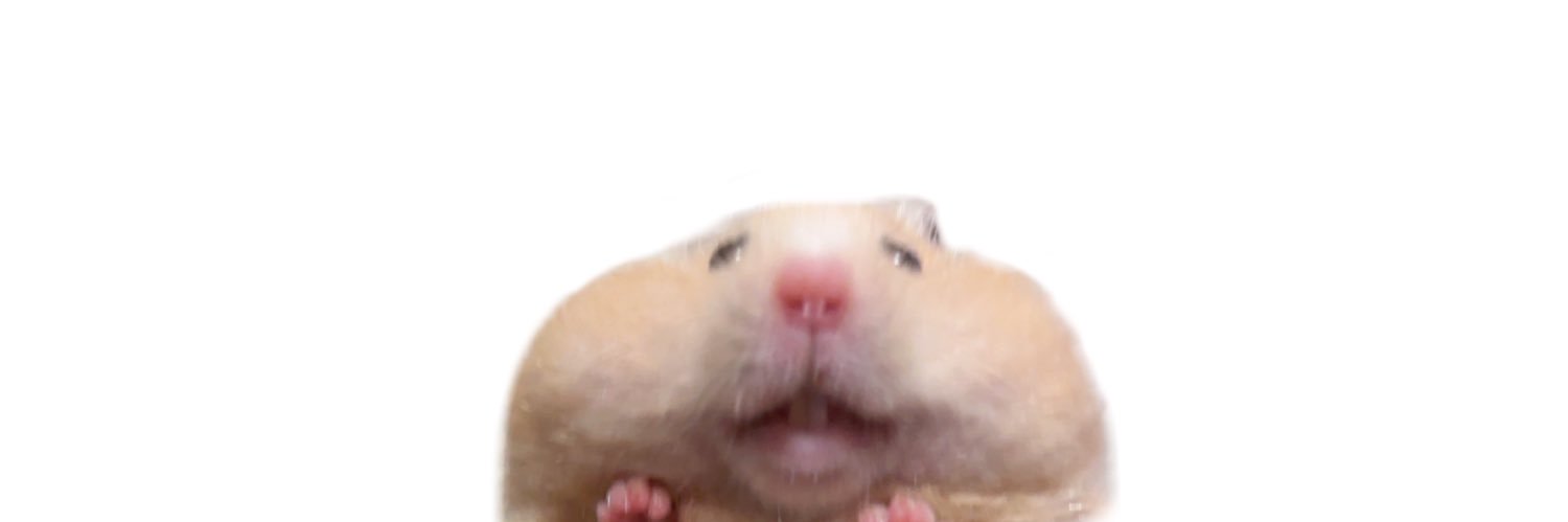 すふれ日記໒꒱゜ banner