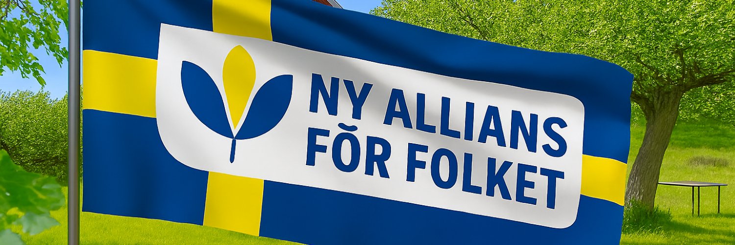 nyallians's profile banner image