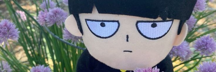 alexis banner