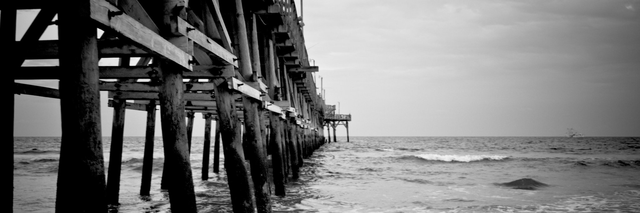 mid_august's profile banner image