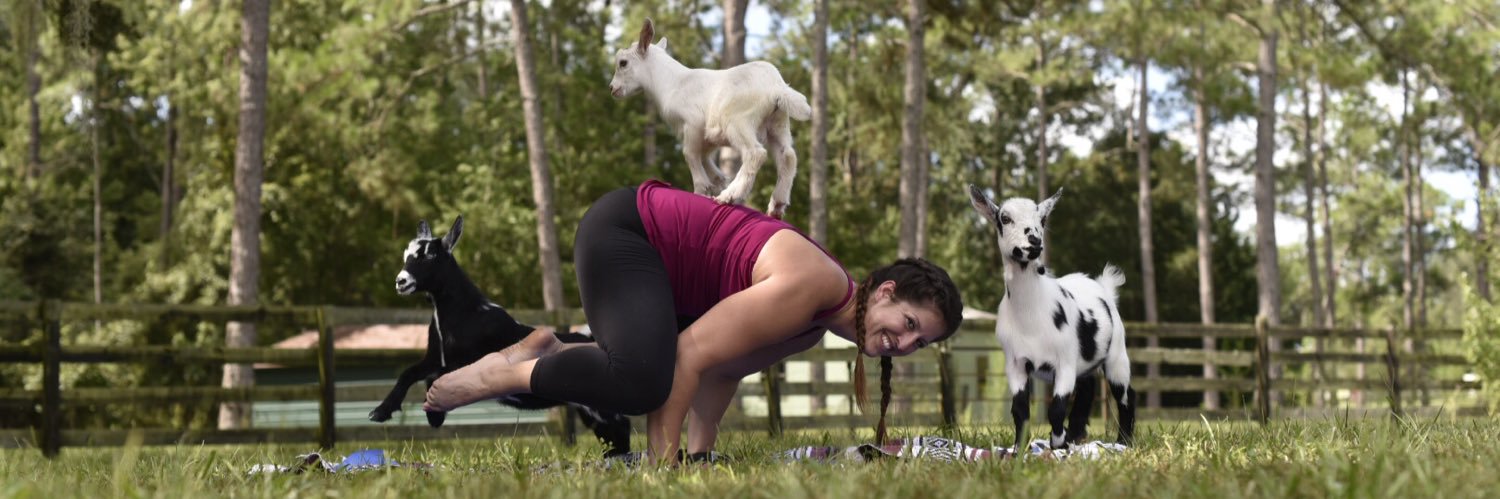 SienaFit's profile banner image