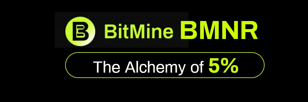 Intern BMNR banner
